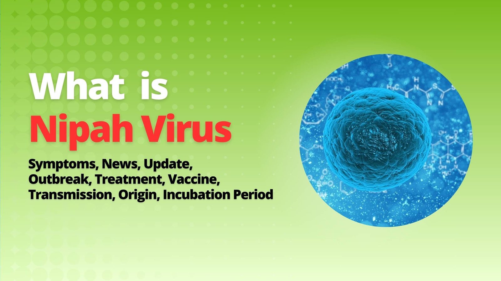 nipah virus Symptoms, News, Update, Outbreak, Treatment, Vaccine, Transmission, Origin, Incubation Period